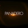 Panadero Chambery Holzofen 7,1 kW: Effizient, Robust, Panoramablick, Dreifachverbrennung