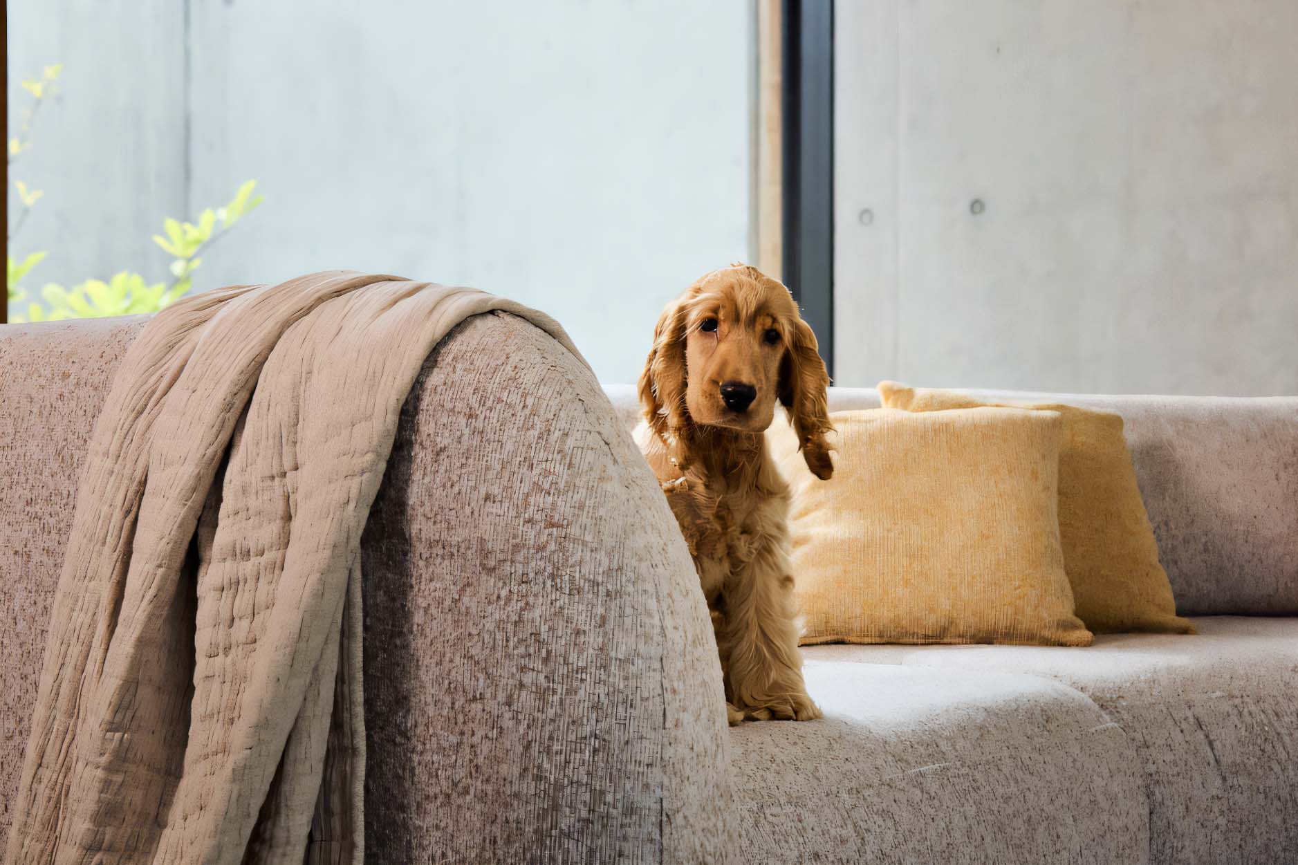 Gio Modulares Sofa: Konfigurierbar, Komfortabel, Vielseitig mit Schlaf- & Stauraum Optionen