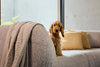 Gio Modulares Sofa: Konfigurierbar, Komfortabel, Vielseitig mit Schlaf- & Stauraum Optionen