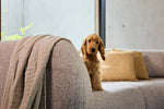 Lade das Bild in den Galerie-Viewer, Gio Modulares Sofa: Konfigurierbar, Komfortabel, Vielseitig mit Schlaf- &amp; Stauraum Optionen
