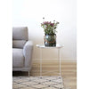 Eleganter Designer Couchtisch Lola: Modernes Wohnzimmer Highlight mit Stil und Funktion