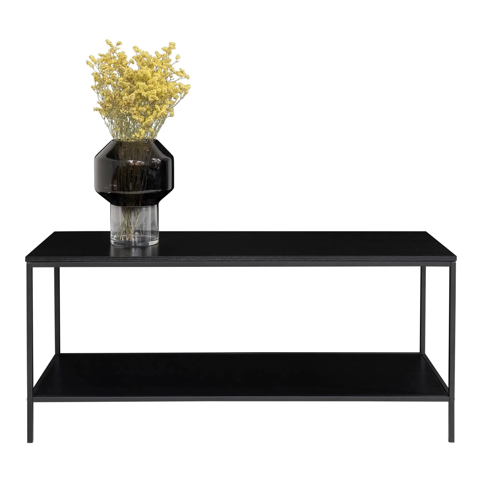 Elegantes Designer Lowboard Quarto mit stabilem Metallgestell für modernes Wohnzimmer