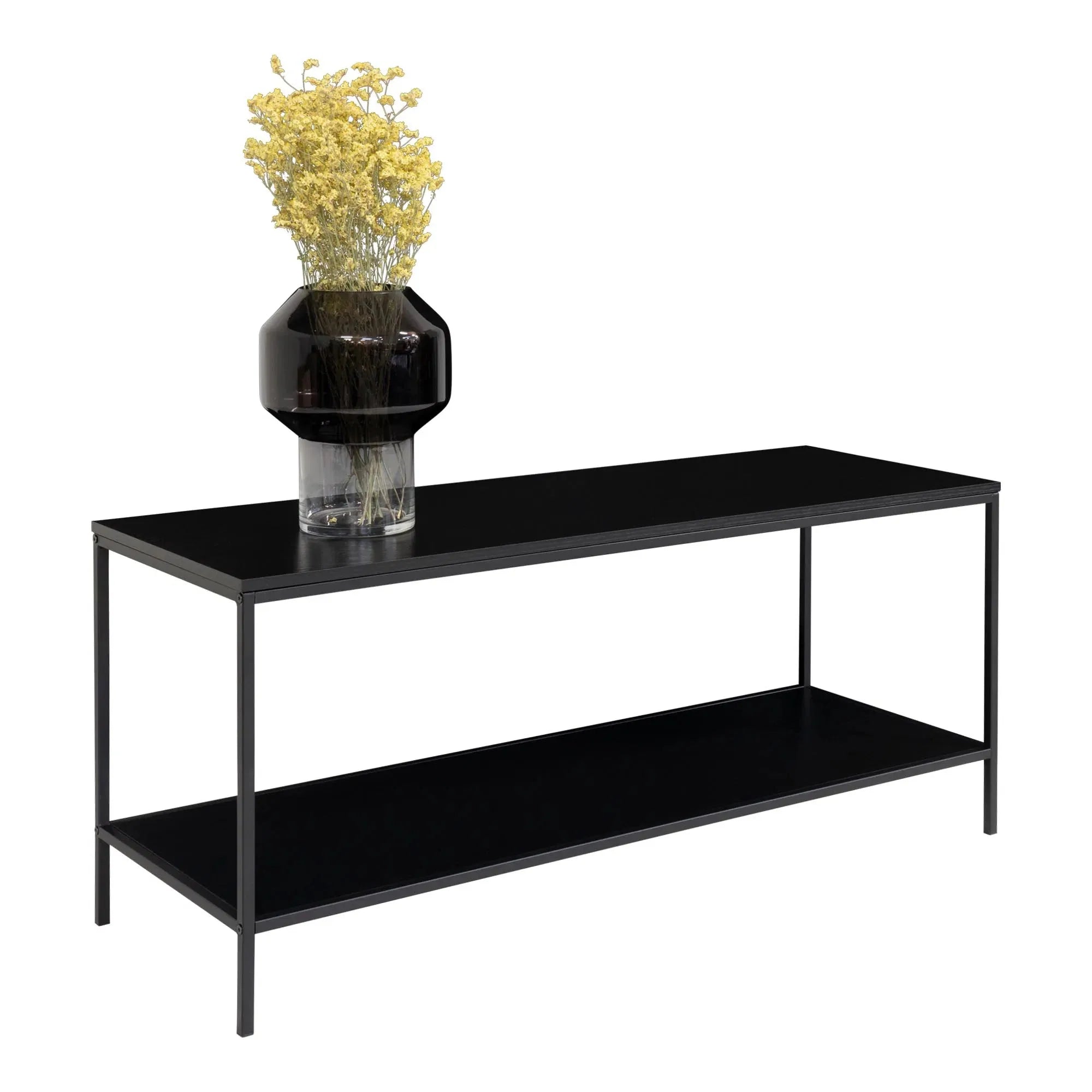 Elegantes Designer Lowboard Quarto mit stabilem Metallgestell für modernes Wohnzimmer