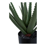 Lade das Bild in den Galerie-Viewer, Elegante Künstliche Aloe Vera Pflanze 51cm – Pflegeleicht, Modern, Zeitlos Schick
