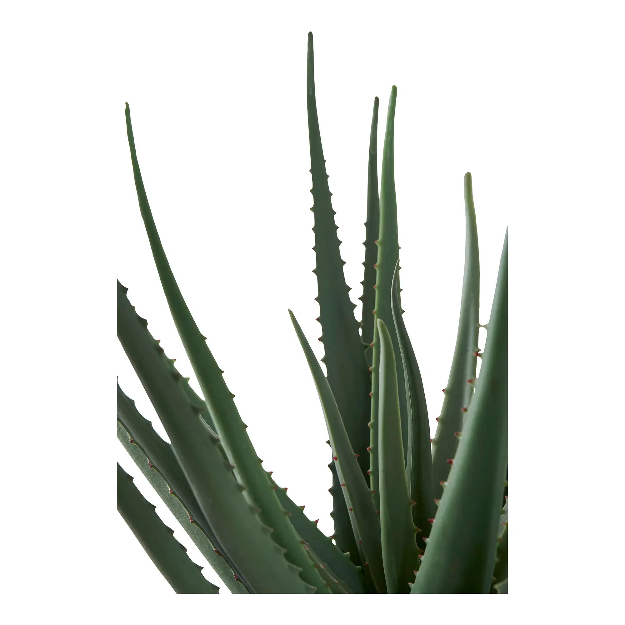 Realistische Aloe Vera Kunstpflanze 51cm – Pflegeleicht, Modern, Grüne Dekoration für Zuhause