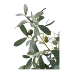 Lade das Bild in den Galerie-Viewer, Realistischer Künstlicher Olivenbaum 61cm: Mediterranes Flair für Gemütliches Zuhause

