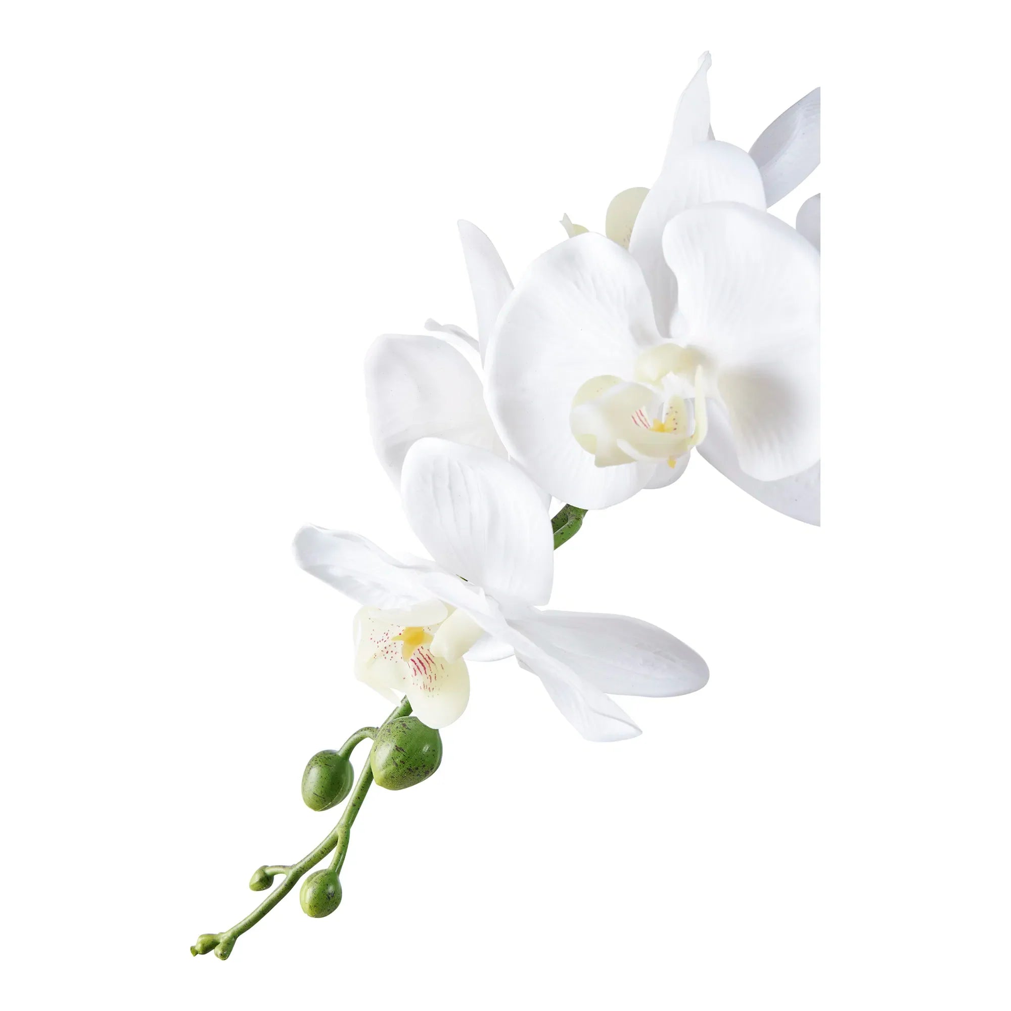Elegante Kunstorchidee 49 cm Hoch – Realistische Blütenpracht für Ihr Zuhause
