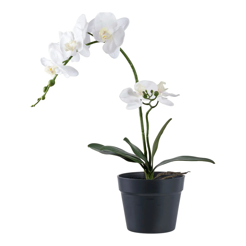 Elegante Kunstorchidee 49 cm: Realistische Blütenpracht für Stilvolle Räume