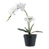 Elegante Kunstorchidee 49 cm Hoch – Realistische Blütenpracht für Ihr Zuhause