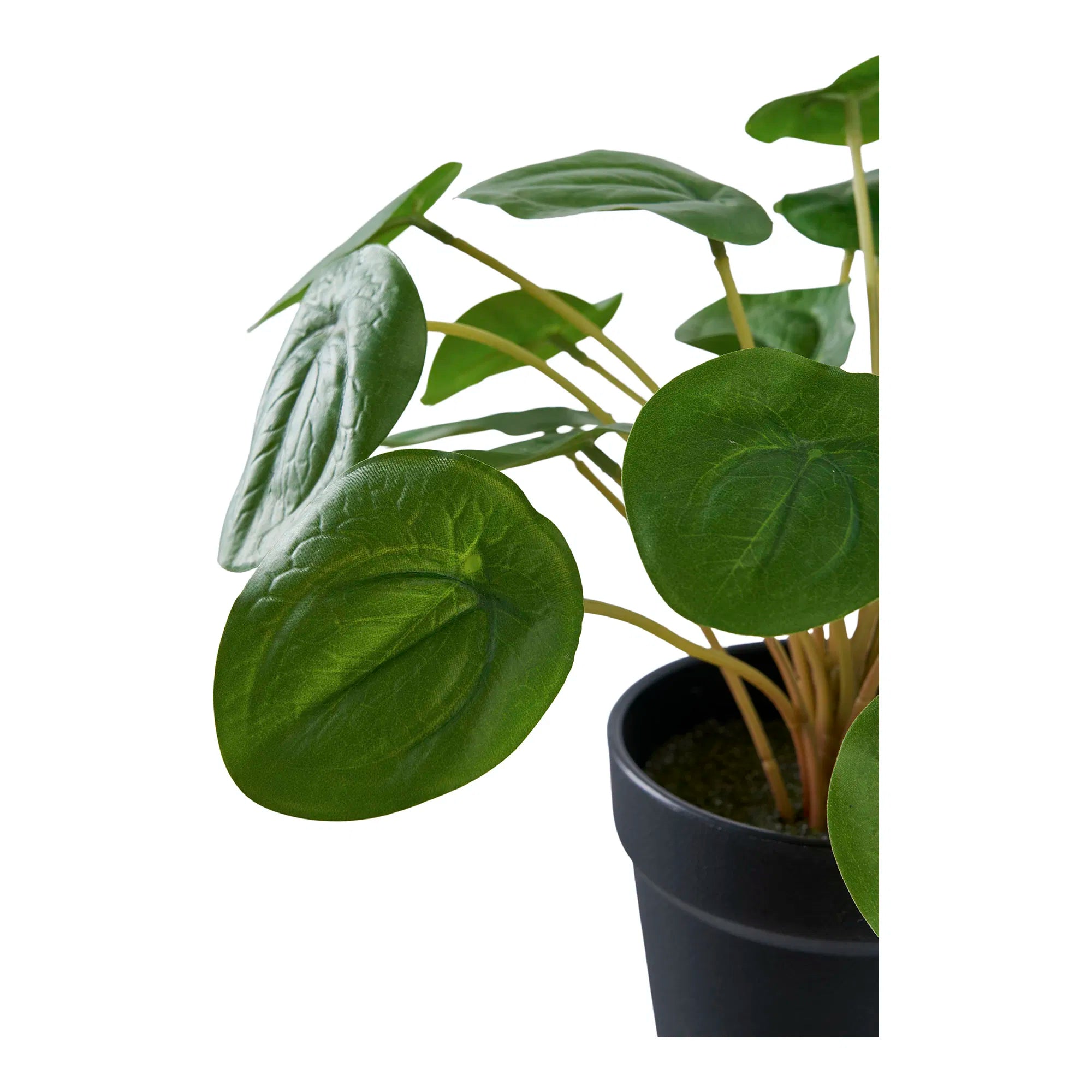 Realistische Kleine Kunstpflanze Pelia – 28cm Grün Deko für Zuhause