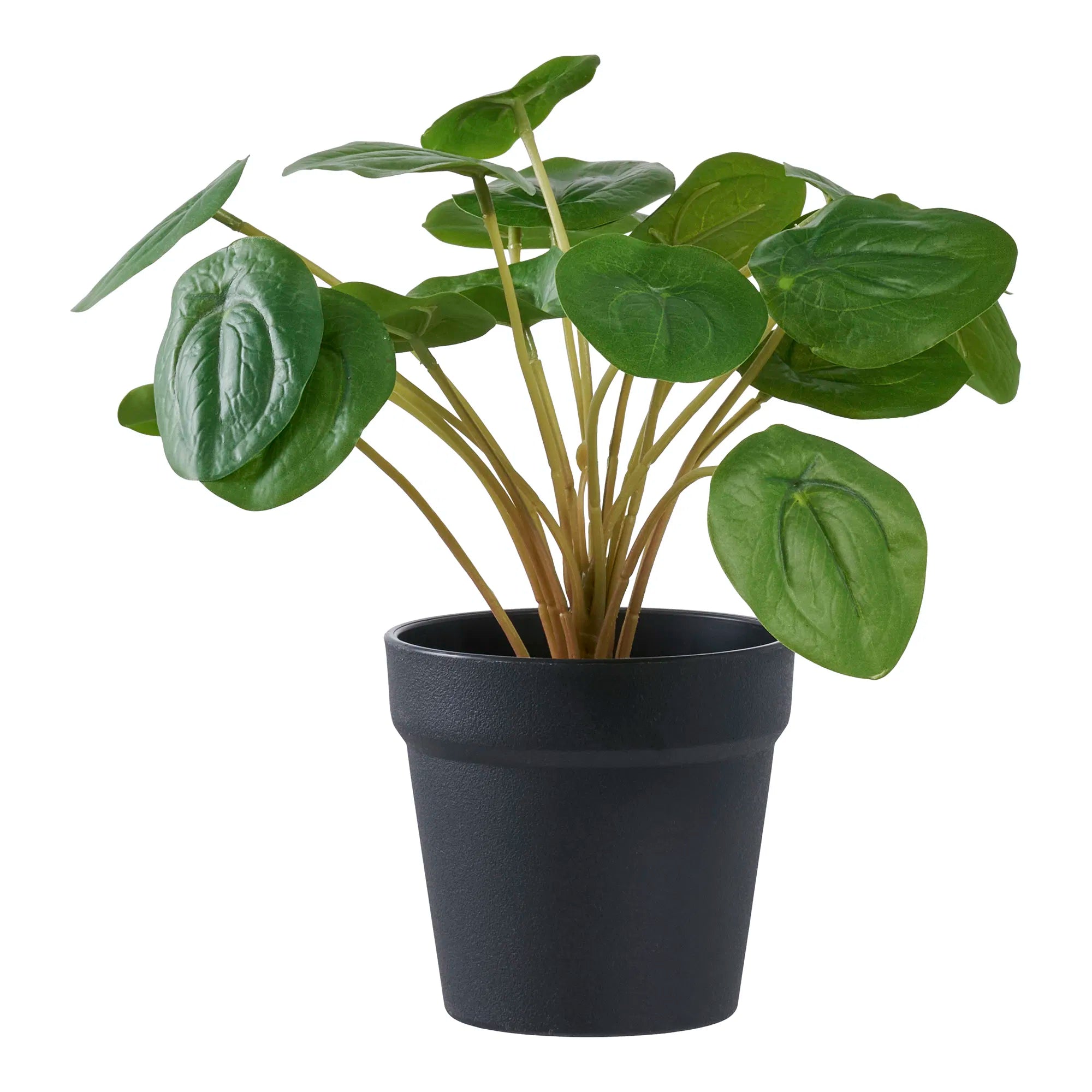 Realistische Kleine Kunstpflanze Pelia – 28cm Grün Deko für Zuhause