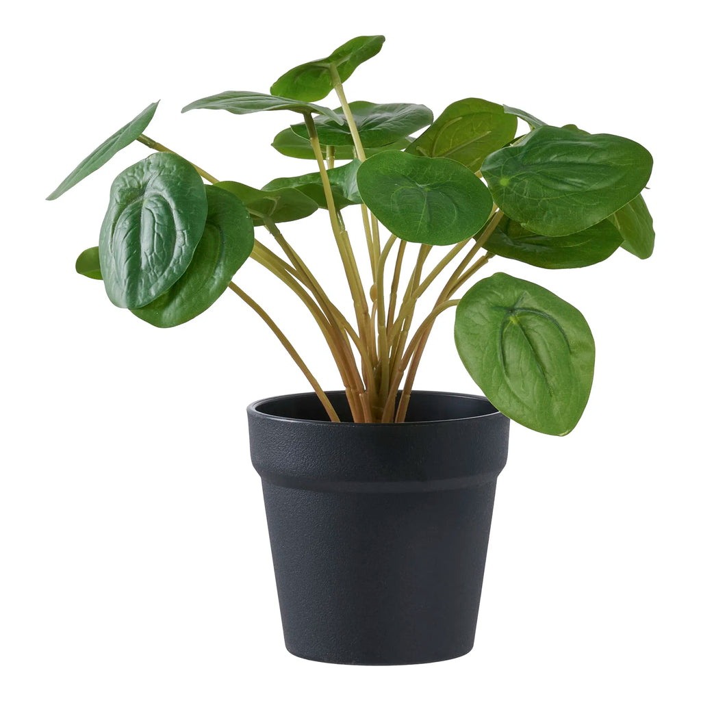 Realistische Kleine Kunstpflanze Pelia – 28cm Grün Deko für Zuhause
