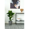 Realistische Kunstpflanze Geigenfeige Ficus Lyrata 100cm, Pflegeleicht, Große Blätter, Elegante Deko