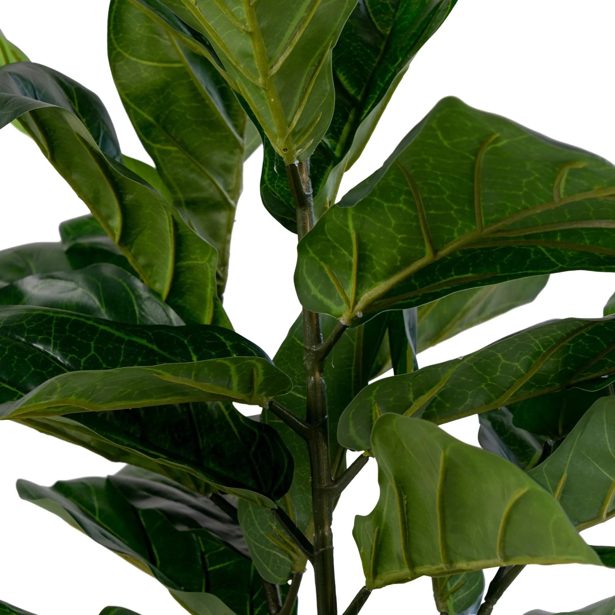 Realistische Kunstpflanze Geigenfeige Ficus Lyrata 100cm, Pflegeleicht, Große Blätter, Elegante Deko