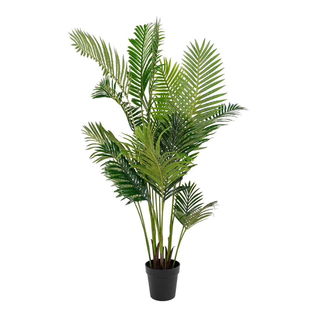 Realistische Areca Kunstpalme 175cm: Pflegeleichtes Tropenflair für Ihr Zuhause