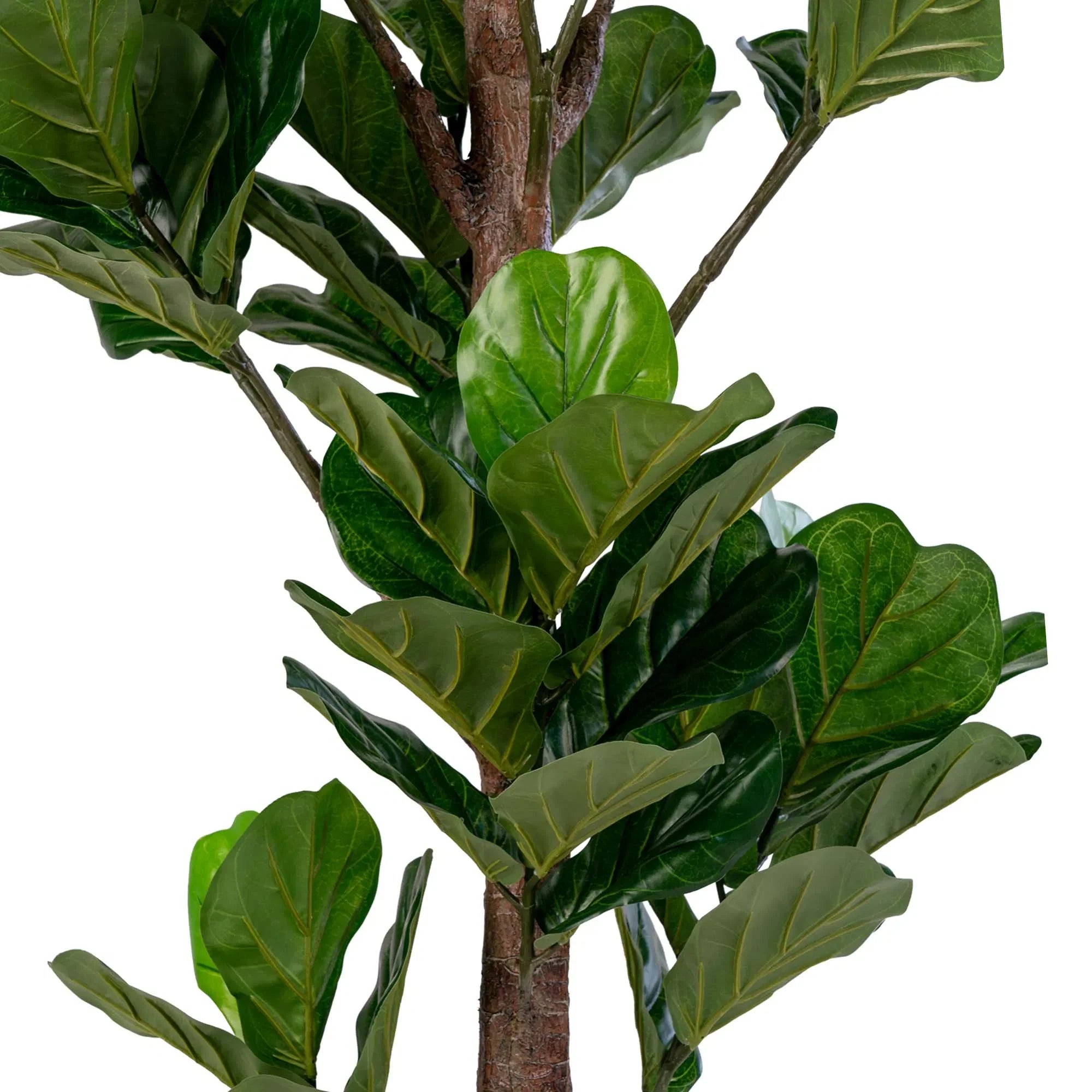 Premium Künstlicher Fiddle Leaf Tree 190 cm XL Naturgetreuer Dschungel-Look