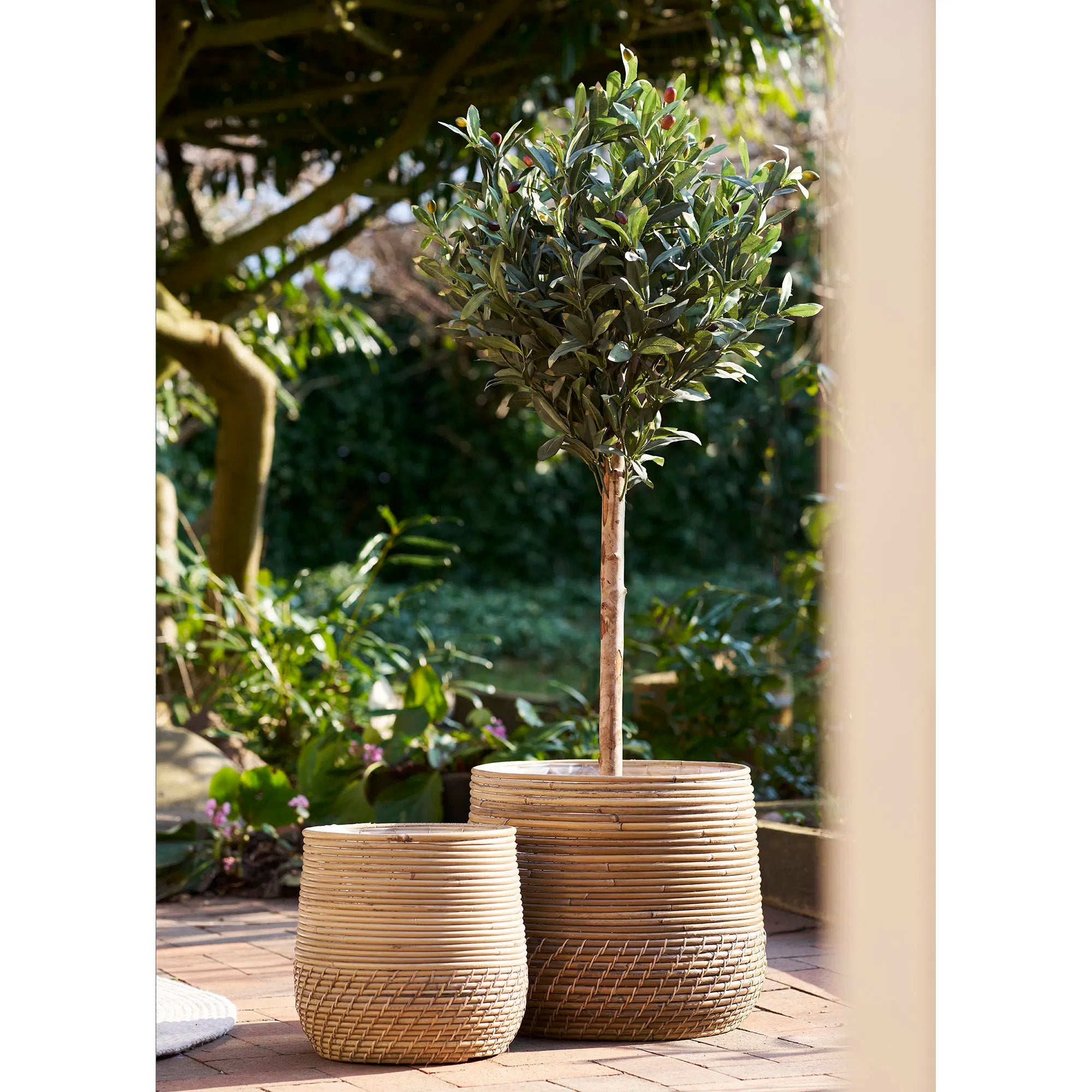 Künstlicher Olivenbaum 120cm – Mediterrane Kunstpflanze für Innen & Außen Zuhause