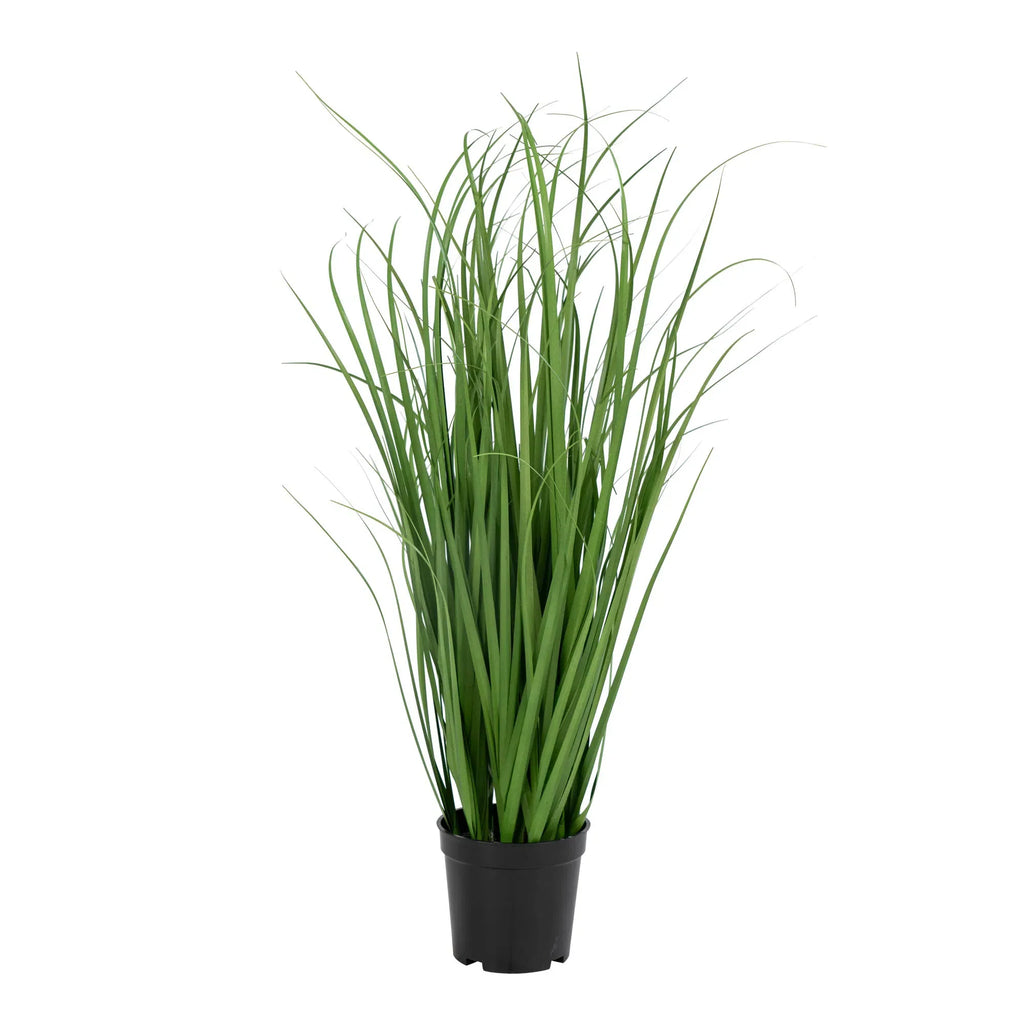 Realistisch aussehende Kunstpflanze Poa Gras 68cm – Pflegeleicht, Modern, Dekorativ, Grün