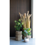 Lade das Bild in den Galerie-Viewer, Realistische 60cm Kunstpflanze Feigenbaum: Mediterraner Charme, Pflegeleicht für Zuhause
