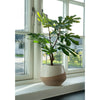 Realistische 60cm Kunstpflanze Feigenbaum: Mediterraner Charme, Pflegeleicht für Zuhause