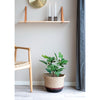 Realistische 60cm Kunstpflanze Feigenbaum: Mediterraner Charme, Pflegeleicht für Zuhause