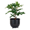 Realistische 60cm Kunstpflanze Feigenbaum: Mediterraner Charme, Pflegeleicht für Zuhause