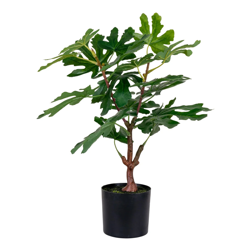 Realistische 60cm Kunstpflanze Feigenbaum: Mediterraner Charme, Pflegeleicht für Zuhause