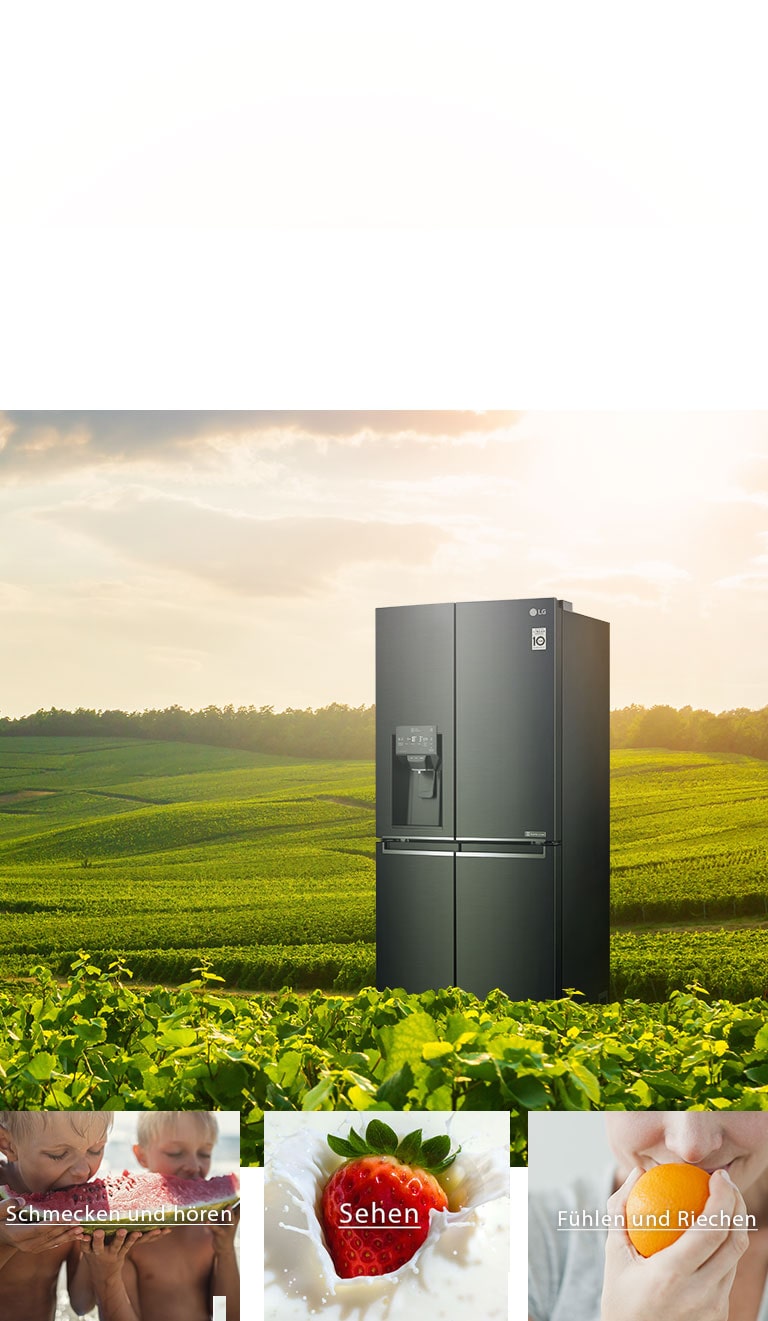 LG Multi-Door Kühlschrank InstaView Door-in-Door 508L, UVnano, Eis- & Wasserspender