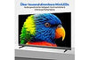 MEDION 55 Zoll MiniLED Smart TV – Ultra HD, HDR, Google/Alexa Sprachsteuerung