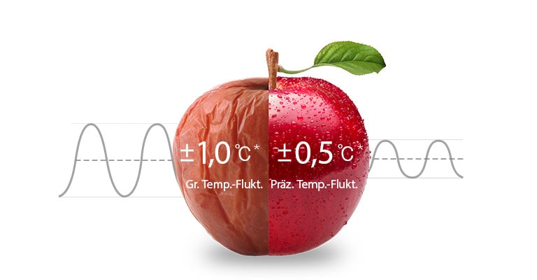LG Kühl-Gefrierkombination 384L Inverter Linear Kompressor Mattschwarz B-Klasse
