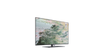 Lade das Bild in den Galerie-Viewer, Loewe bild i.48 dr+ Smart UHD 4K OLED TV mit Dolby Vision Soundsystem
