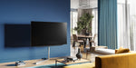 Lade das Bild in den Galerie-Viewer, Loewe bild v.65 dr+ 4K OLED Smart TV mit integrierter DR+ Festplatte
