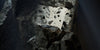 Loewe Iconic Inspire 55 Midnight Marble OLED TV – Design trifft Technologie