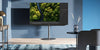 Loewe bild v.65 dr+ 4K OLED Smart TV mit integrierter DR+ Festplatte
