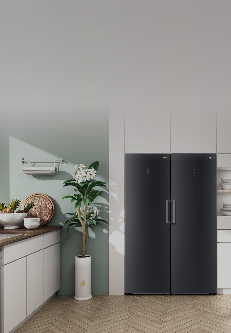 LG GFM61MCCSF Freistehender Gefrierschrank: 324L, D-Klasse, No Frost, Inverter Kompressor