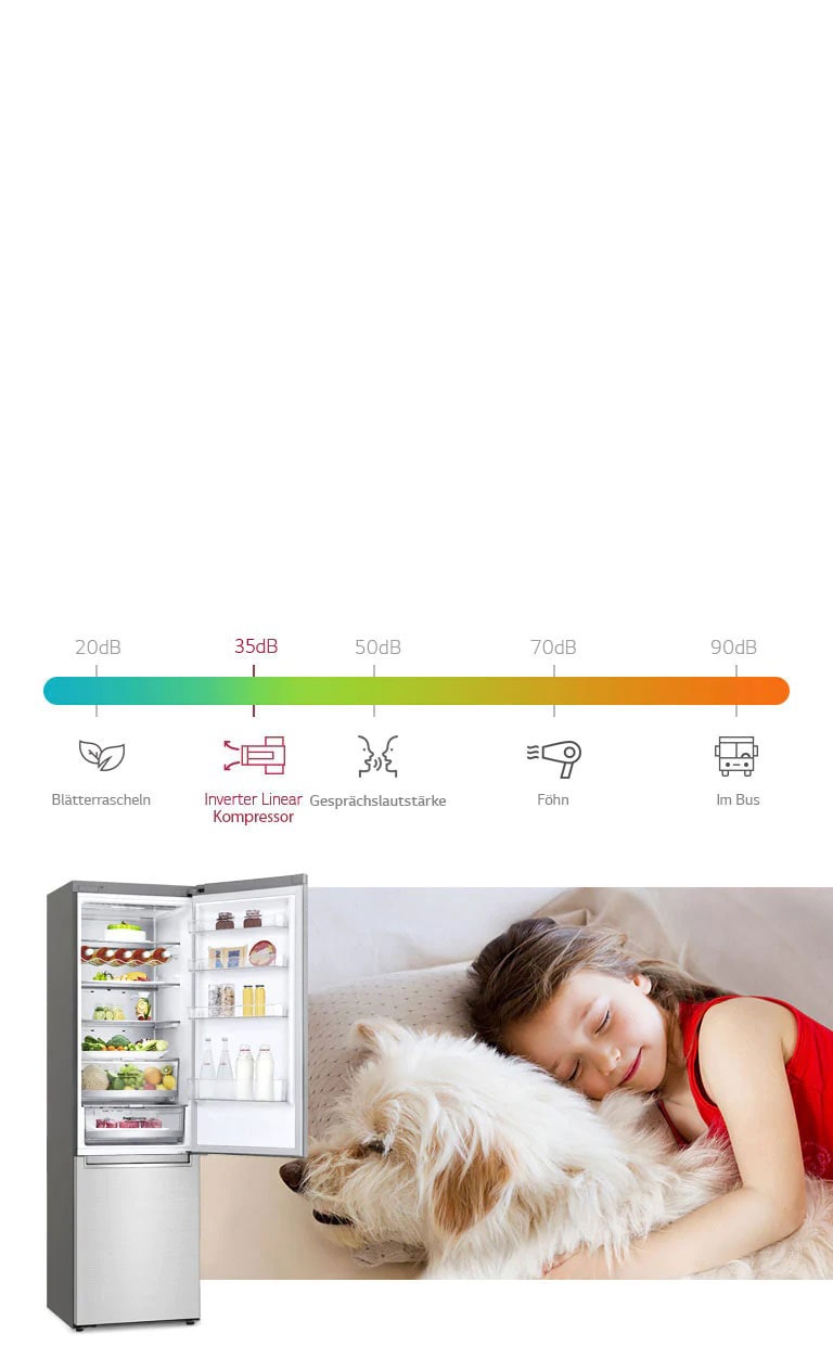 LG NoFrost Kühl-Gefrierkombination 384L, Inverter Linear Kompressor, Effizienzklasse B
