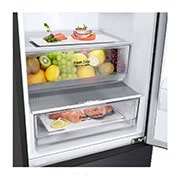 LG Kühl-Gefrierkombination 384L, 203cm Hoch, Inverter Linear Kompressor, Matt Schwarz, Effizient & Leise