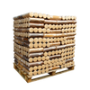ECO+ Tagesbûche 100 kg Palette – 66 Packungen kompakte Holzscheite