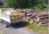 Premium Brennholz 1m, 10 Stère + 1 Gratis, Eiche Buche