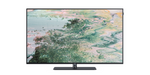 Lade das Bild in den Galerie-Viewer, Loewe inspire 55 dr+ OLED Smart TV: 4K UHD Fernseher mit 1TB Aufnahme
