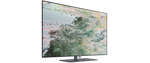 Lade das Bild in den Galerie-Viewer, Loewe inspire 55 dr+ OLED Smart TV: 4K UHD Fernseher mit 1TB Aufnahme

