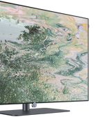 Lade das Bild in den Galerie-Viewer, Loewe inspire 55 dr+ OLED Smart TV: 4K UHD Fernseher mit 1TB Aufnahme

