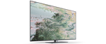 Lade das Bild in den Galerie-Viewer, Loewe Inspire 65 DR+ OLED TV: 4K UHD, 1TB DVR, Dolby Vision, AirPlay Smart Home
