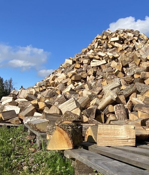 Trockenes Eichenbrennholz 25‑50 cm Stämme – Hochwertig, 100 % Eiche für heimische Heizungen