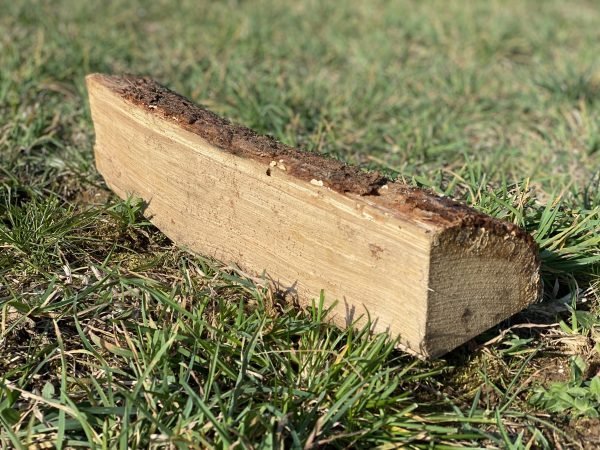 Trockenes Eichenbrennholz 25‑50 cm Stämme – Hochwertig, 100 % Eiche für heimische Heizungen