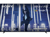 Sony Bravia 8 OLED 55 Zoll 4K HDR Smart TV