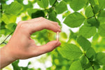 Lade das Bild in den Galerie-Viewer, Schweizer Spruce Holzpellets 6mm Durchmesser Bulk pro Tonne
