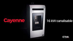 Lade das Bild in den Galerie-Viewer, ETNA Luxe Cayenne Pelletheizung 16 kW kanalisierbar mit 23 kg Tank
