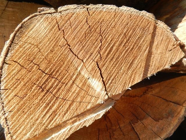 Trockenes Brennholz 33 cm – Eiche, Buche & Hainbuche Mischgröße