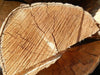 Trockenes Brennholz 33 cm – Eiche, Buche & Hainbuche Mischgröße